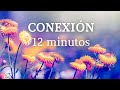🌿 Meditación Guiada en la NATURALEZA  || 12 Minutos de CONEXIÓN  (Sonidos Relajantes) 🌿