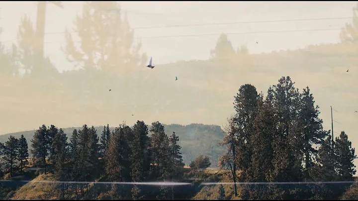 Blood and Memory, Directed by Meredith Matthews: O...