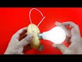 How to Light Bulb Using Potato? | POTATO vs BULB Experiment