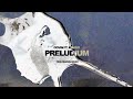 COVIN - PRELUDIUM ft. KRUSZI prod. DEADWN, KRUSZI