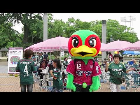 カンスタの思いで〜迫るファジ丸くん