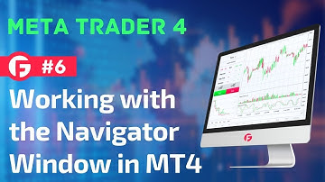 Working with the Navigator Window in Metatrader 4  / Lesson #6