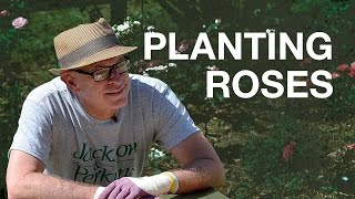 Planting Container Roses with Paul Zimmerman