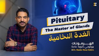Pituitary gland #hormones/ADH, Oxytocin/GH/TSH, ACTH, FSH, LH Prolactin الغدة النخامية #ثانوية_عامة