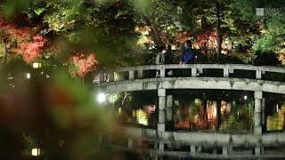 秋の庭園光で彩る　京都・永観堂