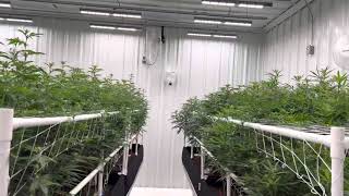PAPPA JESUS FARMS