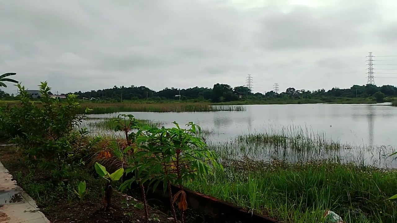 Blok i 20 tanjung barangan indonesia tanggung jawab cicik charles