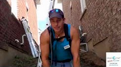Window Cleaning Service Vaughan - Showing Professional Window Cleaning