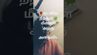 படைக்கப்பட்டிருக்கும் உனது 🦦மீன் விழிகள் 🌳பேரழகு ☘#remix #naakout ✍skr👌🤳