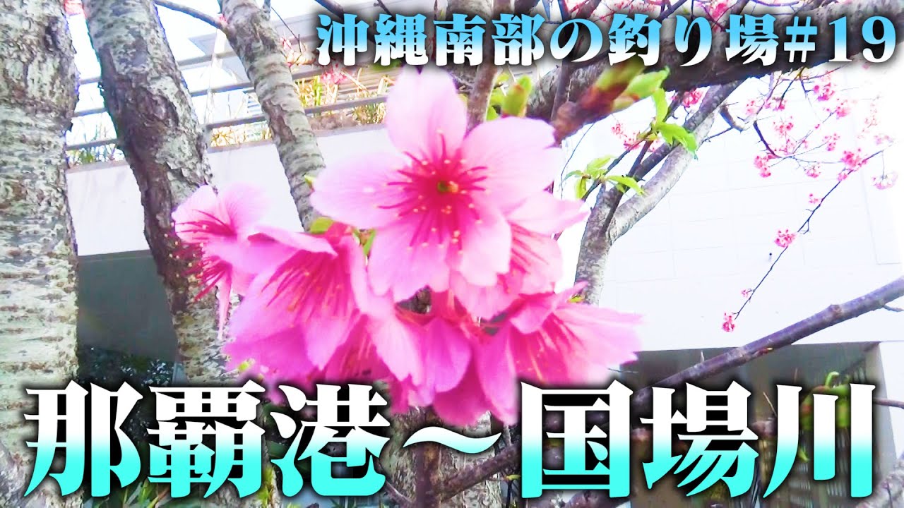 沖縄 人気オススメ釣り場ポイント 那覇港 国場川 南部の釣り場 Youtube