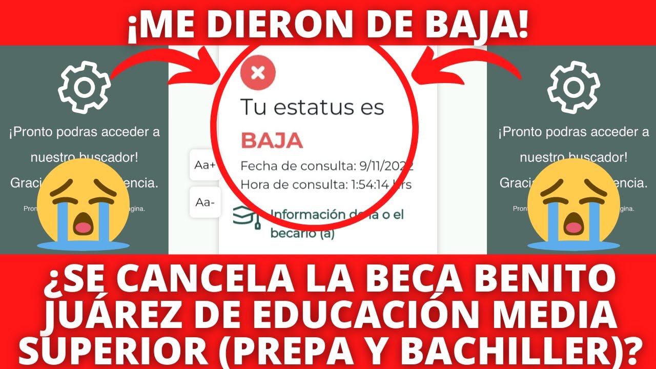 ¡Me Dieron de BAJA!, ¿Se CANCELA La Beca Benito Juárez 2022 de Media