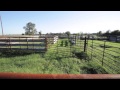 Center Ranch Video Tour