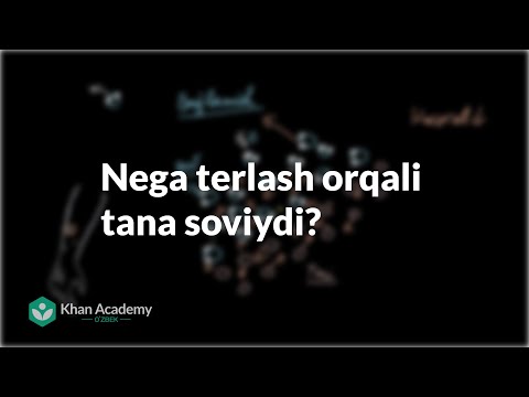 Video: Nega biz taassurotlarni boshqarishdan foydalanamiz?