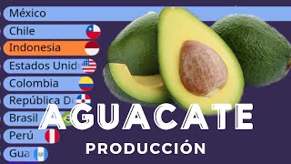 The Largest AVOCADO Producers in the World | Datos Vivos