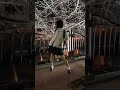 夜ダンス　#Shorts