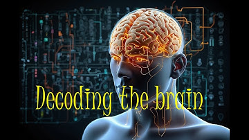 Decoding the Brain  A Journey Through Our Sensory System