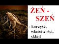 ŻEŃ - SZEŃ - czy naprawdę działa?