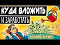 ТОП-5. Куда вложить деньги, чтобы заработать. Проверенные способы, куда инвестировать в 2024 году