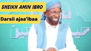 Sheikh Amin Ibro | Darsii ajaa'ibaa | Baban kolfaan nu fixe 🤣🤣|| hanga dhumaa dhaggeeffadhaa 