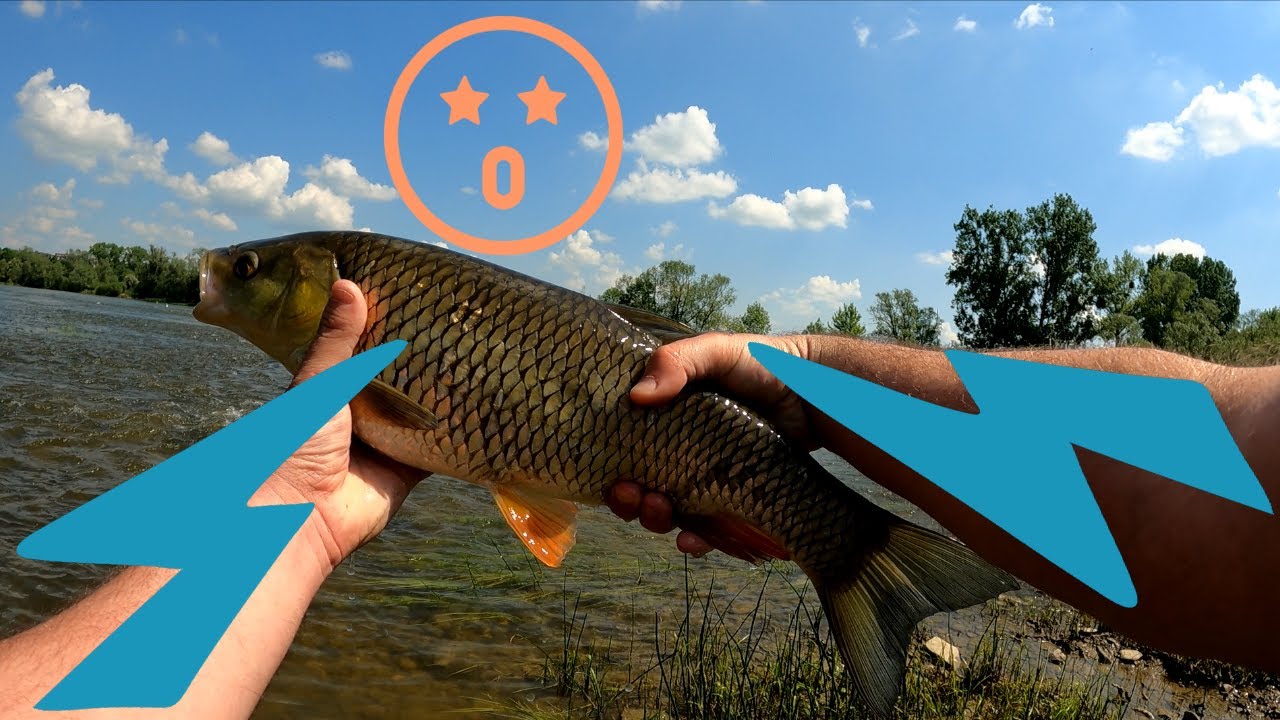 !!!!! NOUVELLE TECHNIQUE DE PECHE, LE JIG OU MICRO JIG !!!!!