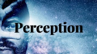 What is PERCEPTION? (Meaning & Definition Explained) What does PERCEPTION mean? Define PERCEPTION