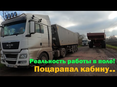 Будни зерновоза| Месим грязь.. Работа днём и ночью! Царапаем кабину, иначе не проехать к полю..