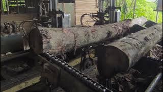 CARA BELAH KAYU DI BANDSAW MALAYSIA MESIN AUTO.