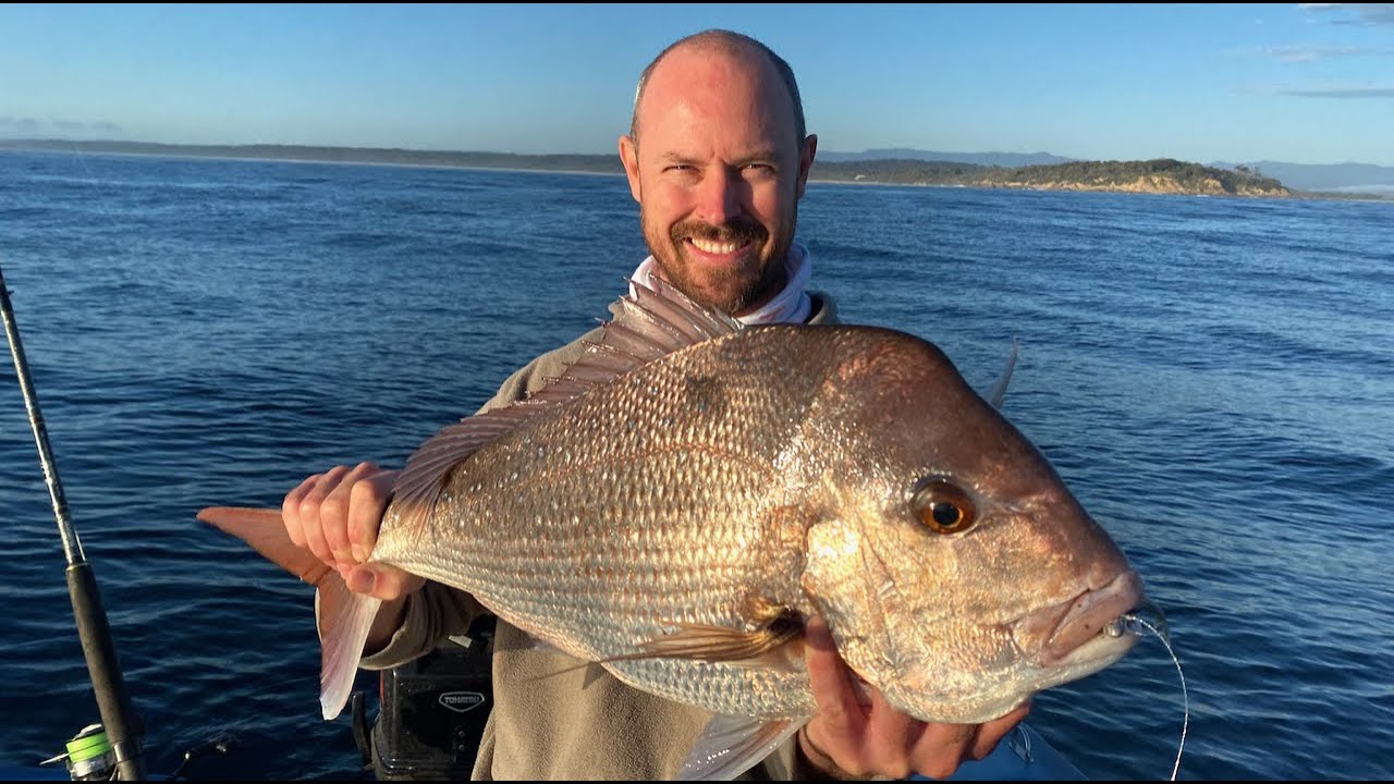 Snapper fishing inshore reefs with soft plastic lures South Coast NSW ...