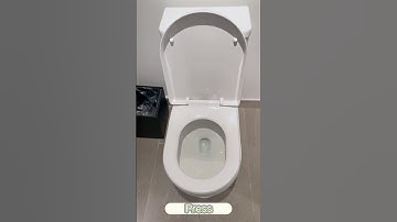 Automatic flush for home toilets, no more turning around and bending over!