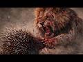 “Lion’s Fatal Mistake 😱 Porcupine Turns Hunter Into Victim | Brutal Wild Encounter”