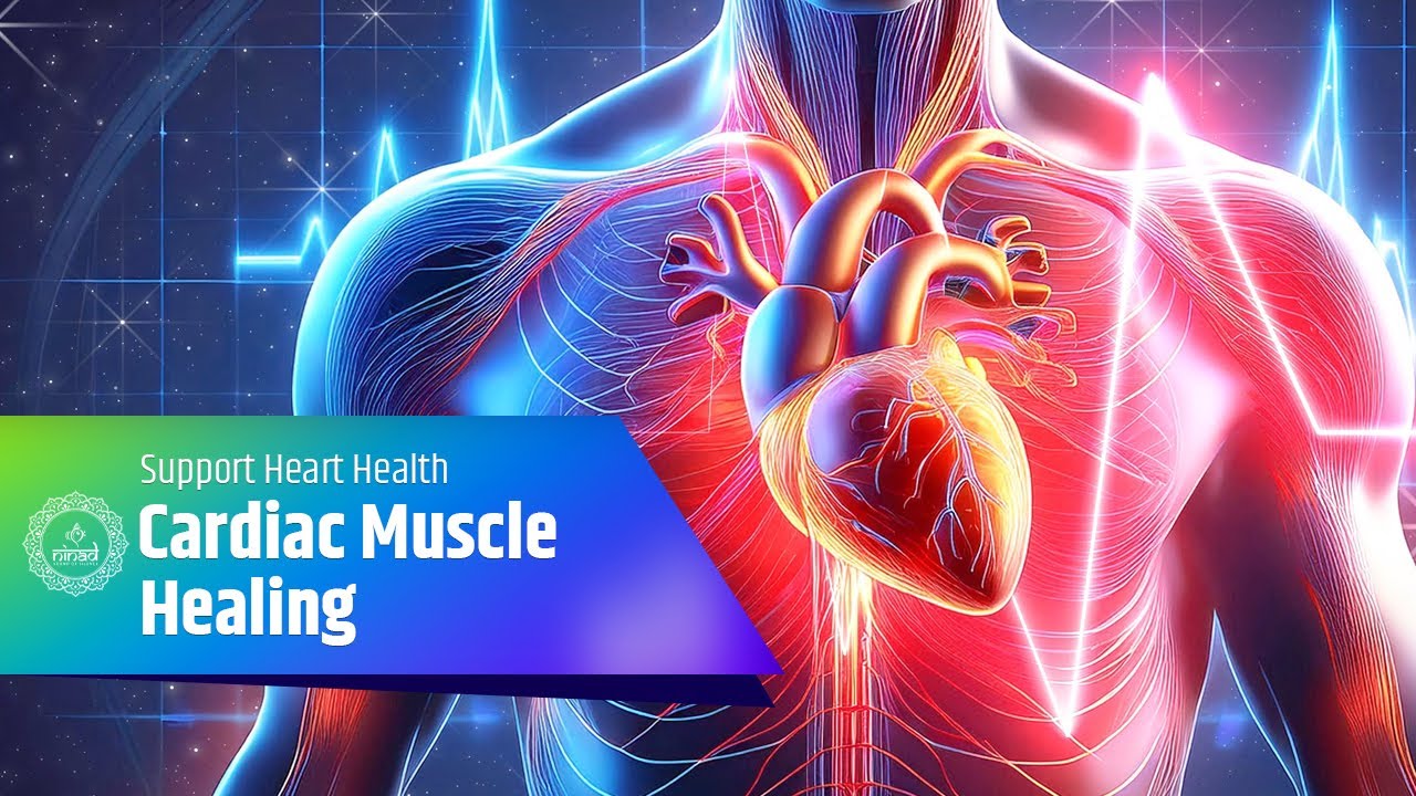 Cardiac Muscle Healing: Enhance Blood Circulation & Support Heart Health | Binaural Sound Therapy