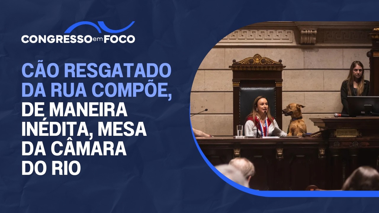 Cão resgatado da rua compõe, de maneira inédita, mesa da Câmara do Rio