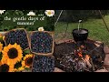 Gentle Days of Summer | Campfire Cooking and Country Kitchens