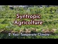 Syntropic Agriculture Explanation Model in Italy (Second Year)