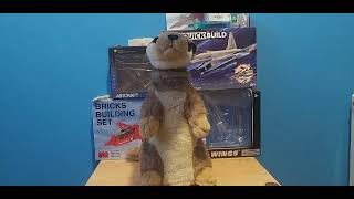 Peers Hardy Group Meerkat Money Box