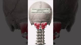 Эти упражнения помогут снять напряжение с шеи и уменьшить головную боль 🔥#шея #упражнения