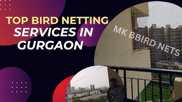 Top Bird Netting Services in Gurgaon - Professional Bird Control Solutions