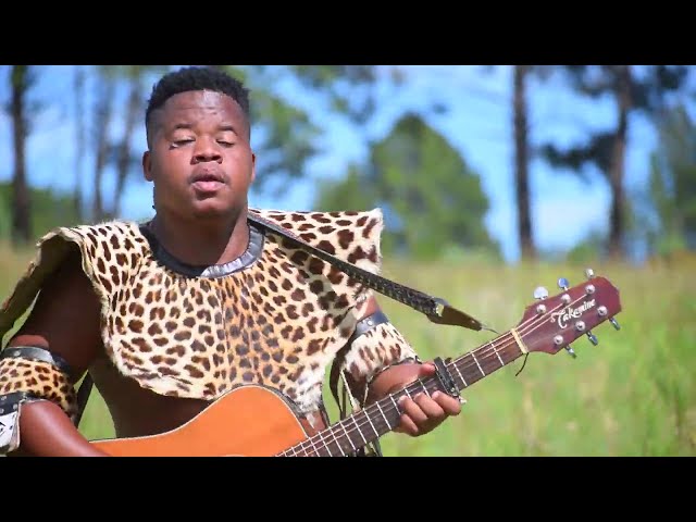 Udlubheke - Ababoshwe Hulumeni(Official music video) class=