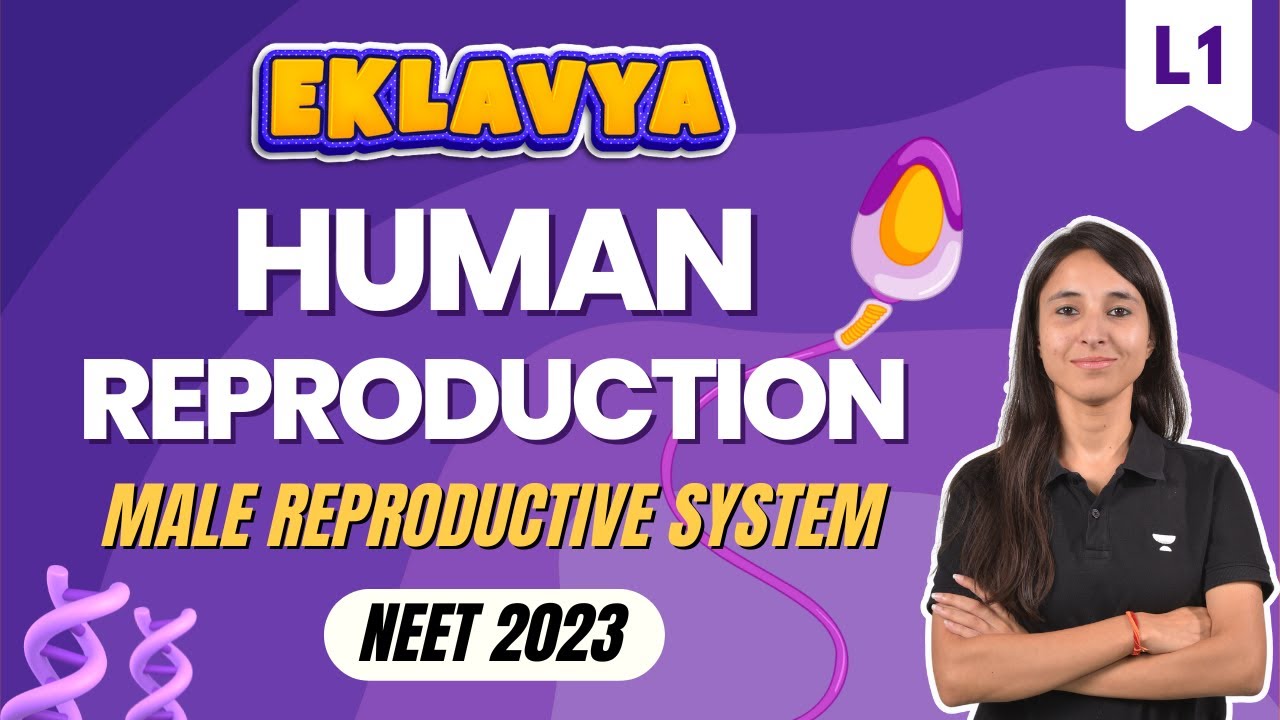Human Reproduction Part 1 Eklavya Batch NEET 2023 UMEED NEET UG 