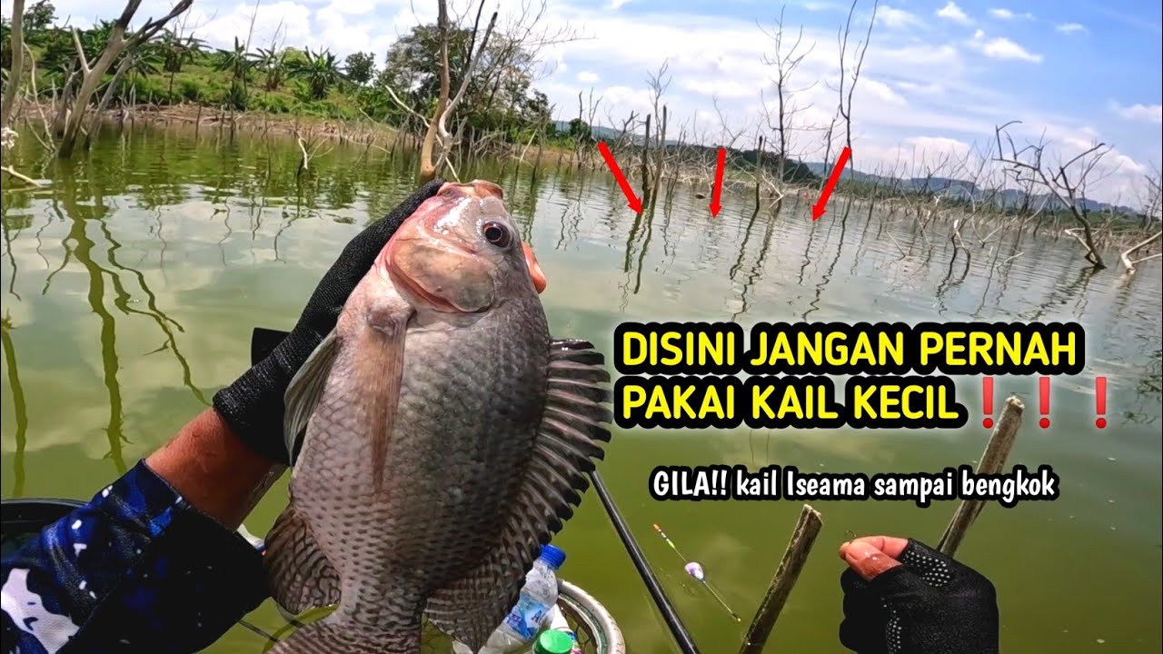MENGER!KAN❗❗❗DUA TEGEK SAYA DIHAJAR DISPOT INI || WADUK GONGSENG BOJONEGORO