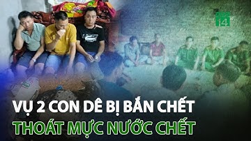 Vụ 2 con dê bị b.ắ.n c.h.ế.t: Công an huyện Mỹ Đức xin lỗi người dân | VTC14