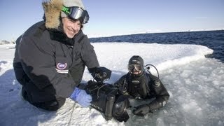 THE MAKING OF PLANET EARTH - Exclusive Sneak Peek at World Premiere Special