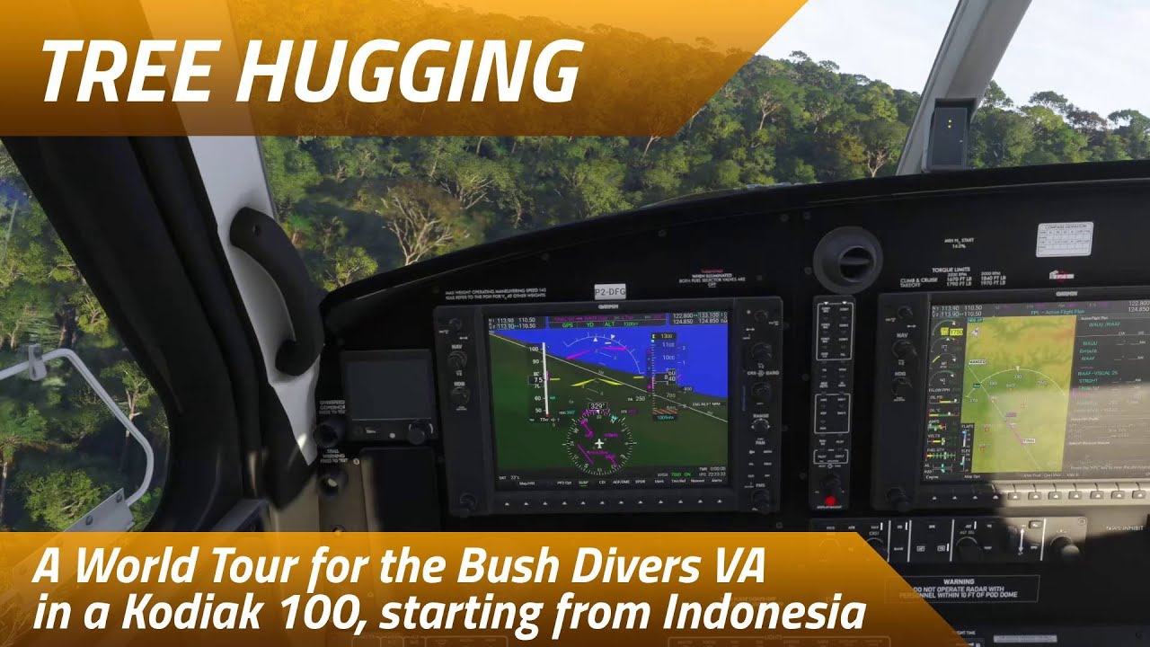 Almost hit the trees there over Indonesia - Around the World for the Bush Divers VA