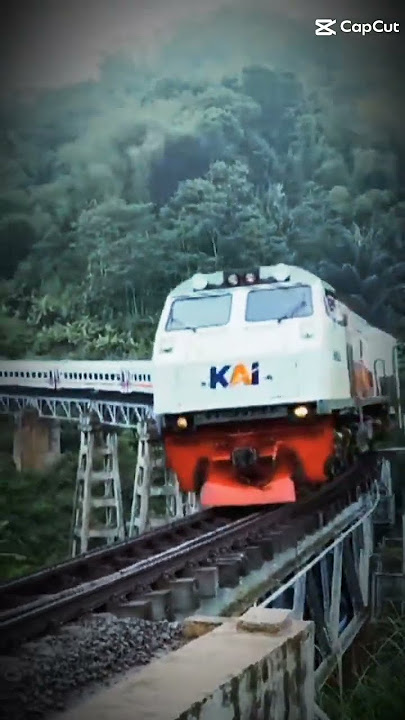 Jedag jedug KA Serayu dengan masinis Ramah #jedagjedugviral #keretaapiindonesia #shorts