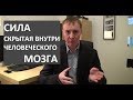 Сила, скрытая внутри человеческого мозга. Урок 4 из 10.