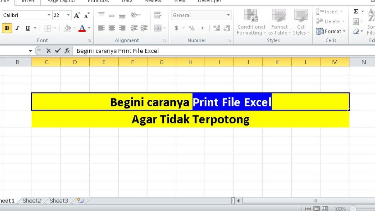 Cara print file excel dengan rapih tanpa ada bagian yang terpotong