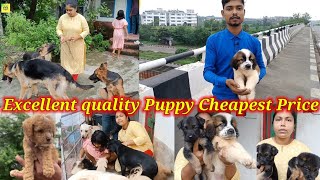 LOW PRICE PUPPY'S   CHEAPEST PRICE DOG PUPPY IN INDIABEST QUALITY DOG in KOLKATA