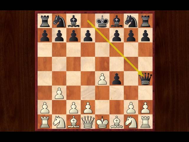 Xadrez Básico 152 Os Gambitos - Gambito do Rei aceito e recusado 