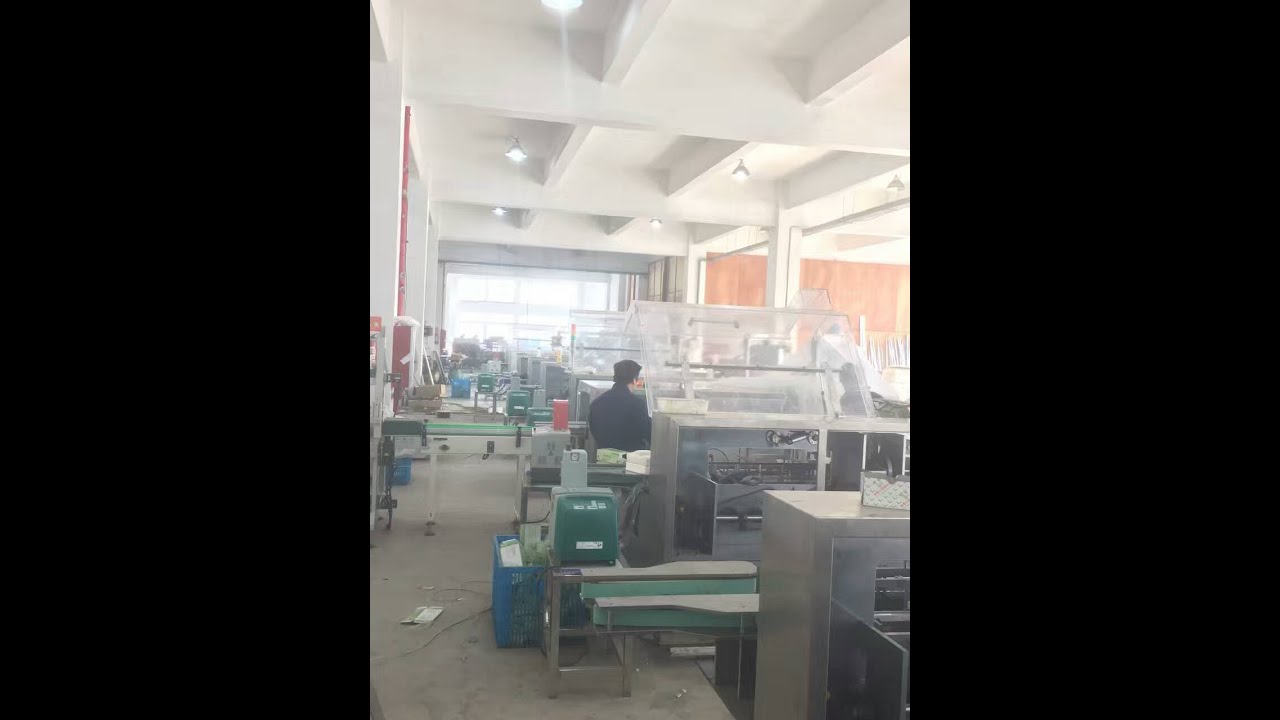 ZH-100 Multifunction automatic horizontal Cartoning Machine - YouTube