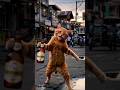 cat's full enjoy 😁#shorts #shortsfeed #comedy #funnyshorts #foryou #viral #malotimurmu